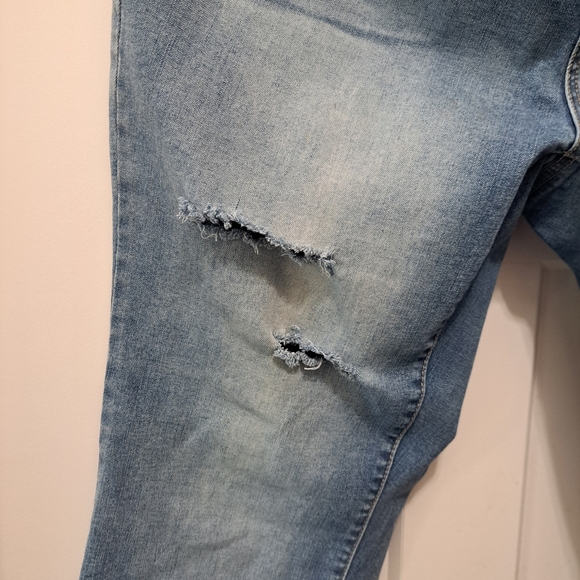 Terra & Sky Bootcut Jean sz 16W - Picture 3 of 7